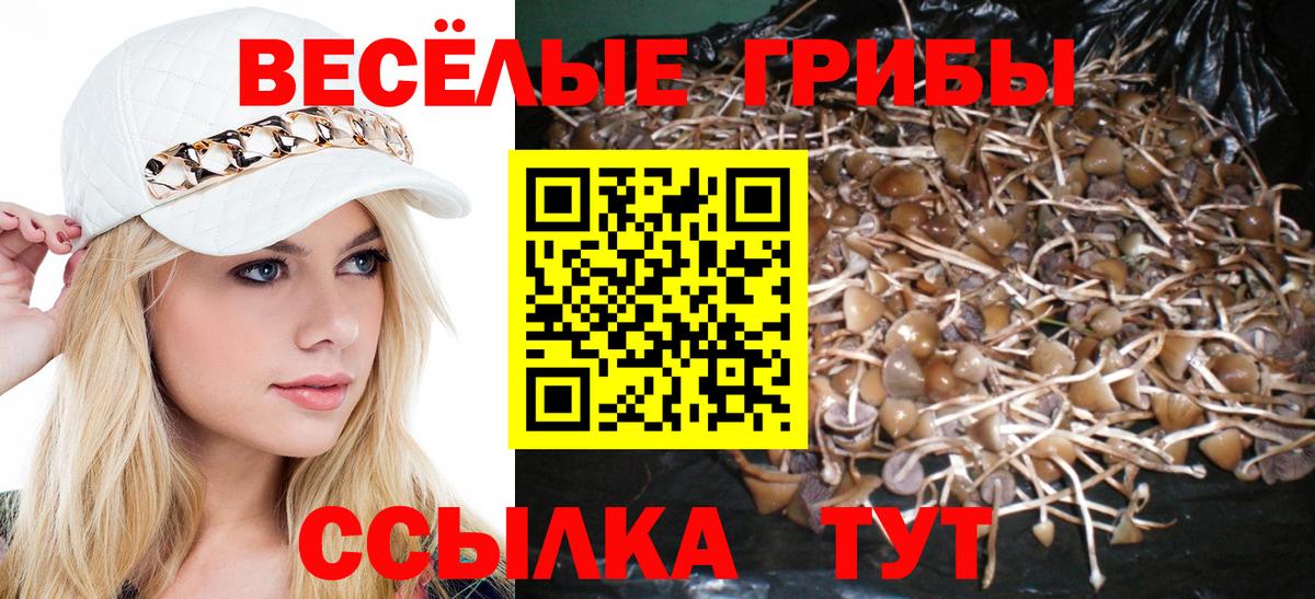 МДМА Омск