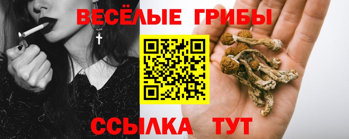 Омск  Галлюциногенные грибы Cubensis  Вход с VPN  Псилоцибиновые грибы GOLDEN TEACHER 
